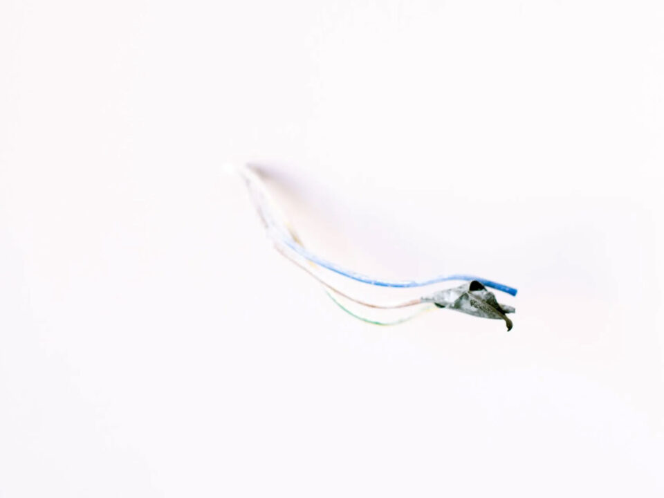 blog img4